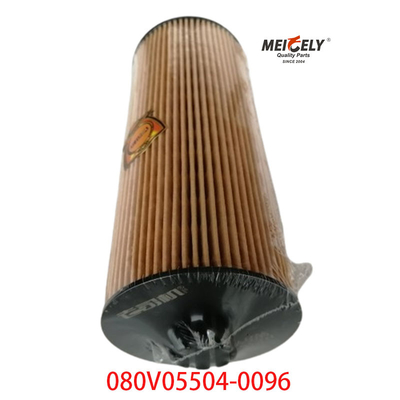 STOCK OEM 080V05504-0096 Cho SINOTRUK Howo T5G Bộ lọc dầu xe tải