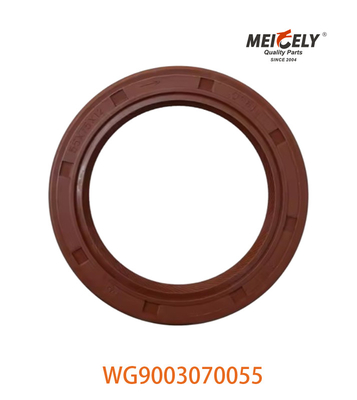 WG9003070055 Mực dầu PS55X75X12 Phù hợp với SINOTRUK CNHTC HOWO