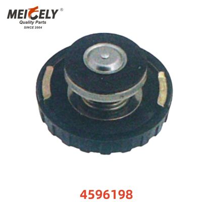 Phụ tùng xe tải giá xuất xưởng 4596198 Bộ lọc dầu ô tô Nắp OE 1711639024 Dành cho BMW