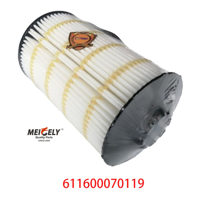 Các yếu tố lọc dầu bán buôn 611600070119 cho Weichai WP7