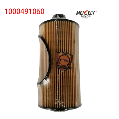 1000491060 FAW Jiefang J6PJH6 Bộ lọc dầu xe tải