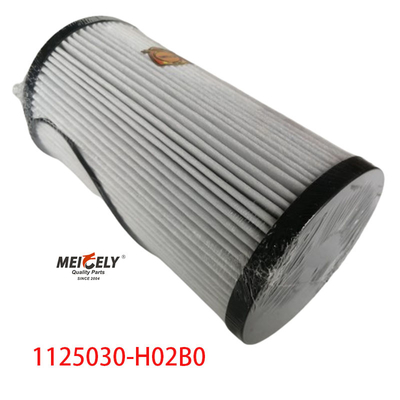 1125030-H02B0 Bộ phận xe tải Bộ lọc nhiên liệu cho Dongfeng Tianlong