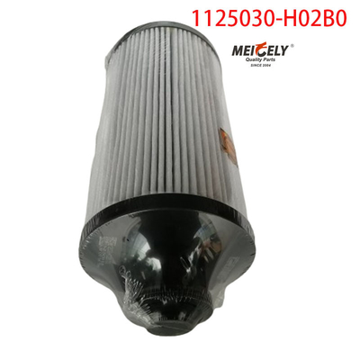 1125030-H02B0 Bộ phận xe tải Bộ lọc nhiên liệu cho Dongfeng Tianlong