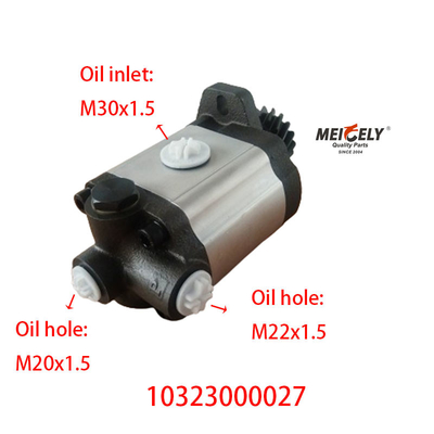 10323000027 Máy bơm đẩy lái cho cần cẩu zoomlion