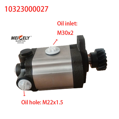 10323000027 Máy bơm đẩy lái cho cần cẩu zoomlion