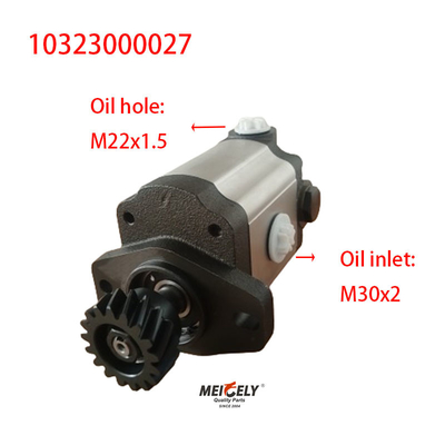10323000027 Máy bơm đẩy lái cho cần cẩu zoomlion