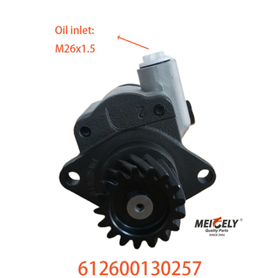 612600130257 Máy bơm điều khiển Máy bơm lốp cho Beiben Weichai