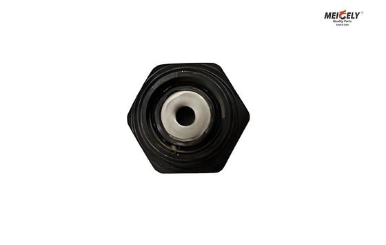 Fuso And Canter ME012586 Bolt Oil Jet Valve Đối với tất cả các mô hình