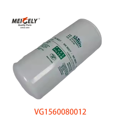 VG1560080012 Bộ lọc nhiên liệu 20805349 Đối với SINOTRUK CNHTC HOWO