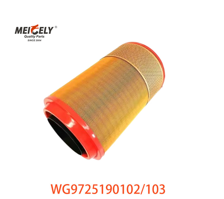 Trọng tâm bộ lọc không khí WG9725190102 cho SINOTRUK HOWO WG9725190103