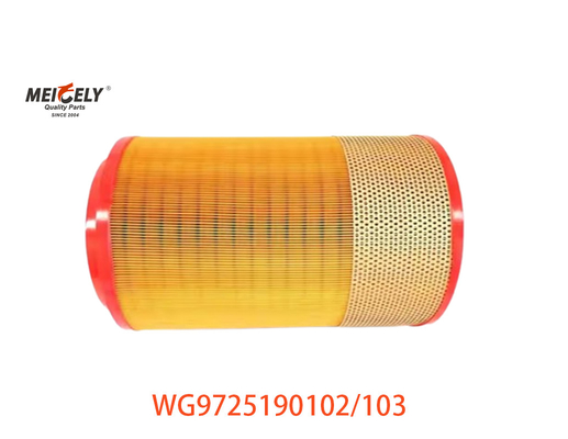 Trọng tâm bộ lọc không khí WG9725190102 cho SINOTRUK HOWO WG9725190103