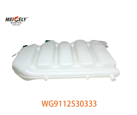 WG9112530333 Bộ chứa nước mở rộng mới cho Howo AZ9112530333