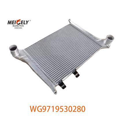 OEM WG9719530280 Đối với Howo Intercooler Assembly WG9719530281