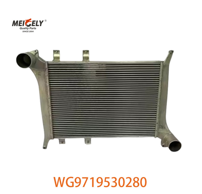 OEM WG9719530280 Đối với Howo Intercooler Assembly WG9719530281