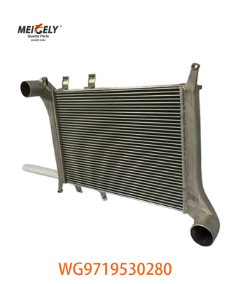 OEM WG9719530280 Đối với Howo Intercooler Assembly WG9719530281