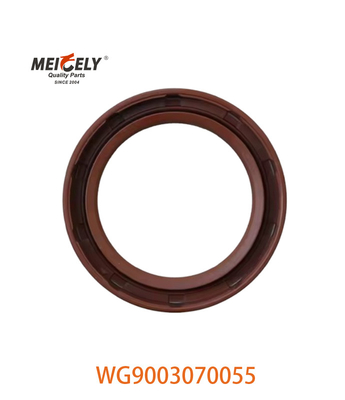 WG9003070055 Mực dầu PS55X75X12 Phù hợp với SINOTRUK CNHTC HOWO