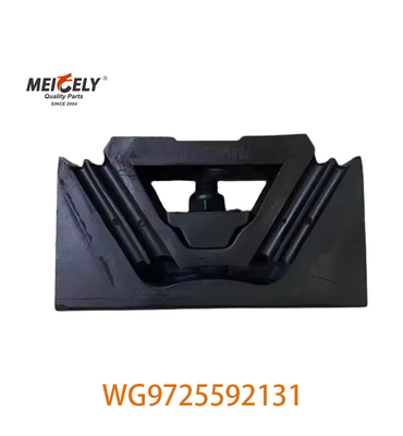 WG9725592131 Phương tiện hỗ trợ cho xe tải SINOTRUK HOWO A7 AZ9725590031