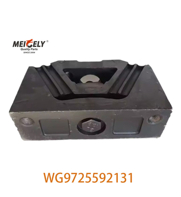 WG9725592131 Phương tiện hỗ trợ cho xe tải SINOTRUK HOWO A7 AZ9725590031