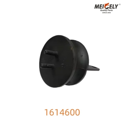 1614600 Ứng dụng Ống tản nhiệt cho Volvo Ứng dụng Ống tản nhiệt