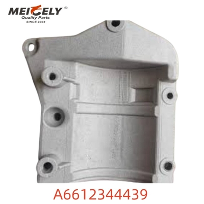 OEM chất lượng cao A6612344439 Đặt động cơ cho Mercedes Benz