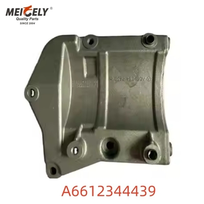 OEM chất lượng cao A6612344439 Đặt động cơ cho Mercedes Benz