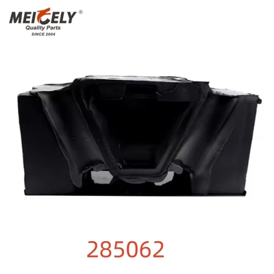 OEM 285062 Ứng dụng gắn động cơ phía sau chất lượng cao cho DAF-676331