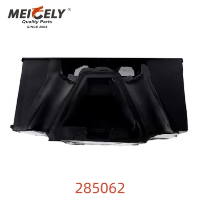 OEM 285062 Ứng dụng gắn động cơ phía sau chất lượng cao cho DAF-676331