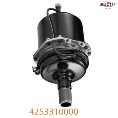 Daf Spring Brake 4253310000 Giải pháp dừng chất lượng cao