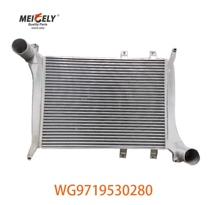 OEM WG9719530280 Đối với Howo Intercooler Assembly WG9719530281
