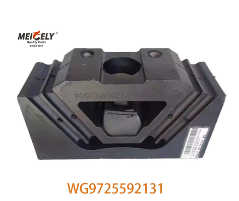 WG9725592131 Phương tiện hỗ trợ cho xe tải SINOTRUK HOWO A7 AZ9725590031